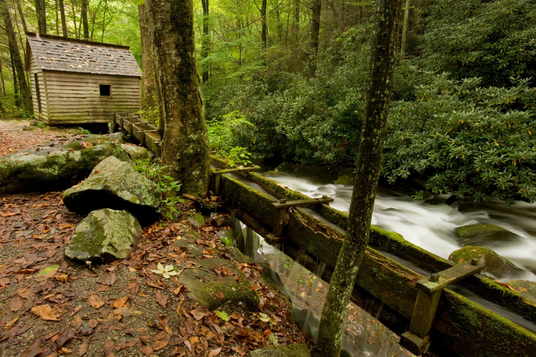 Alfred Reagan House on Roaring Fork in Great Smoky Mountains
