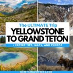 Yellowstone vs Grand Teton: Which One Should You Visit?
