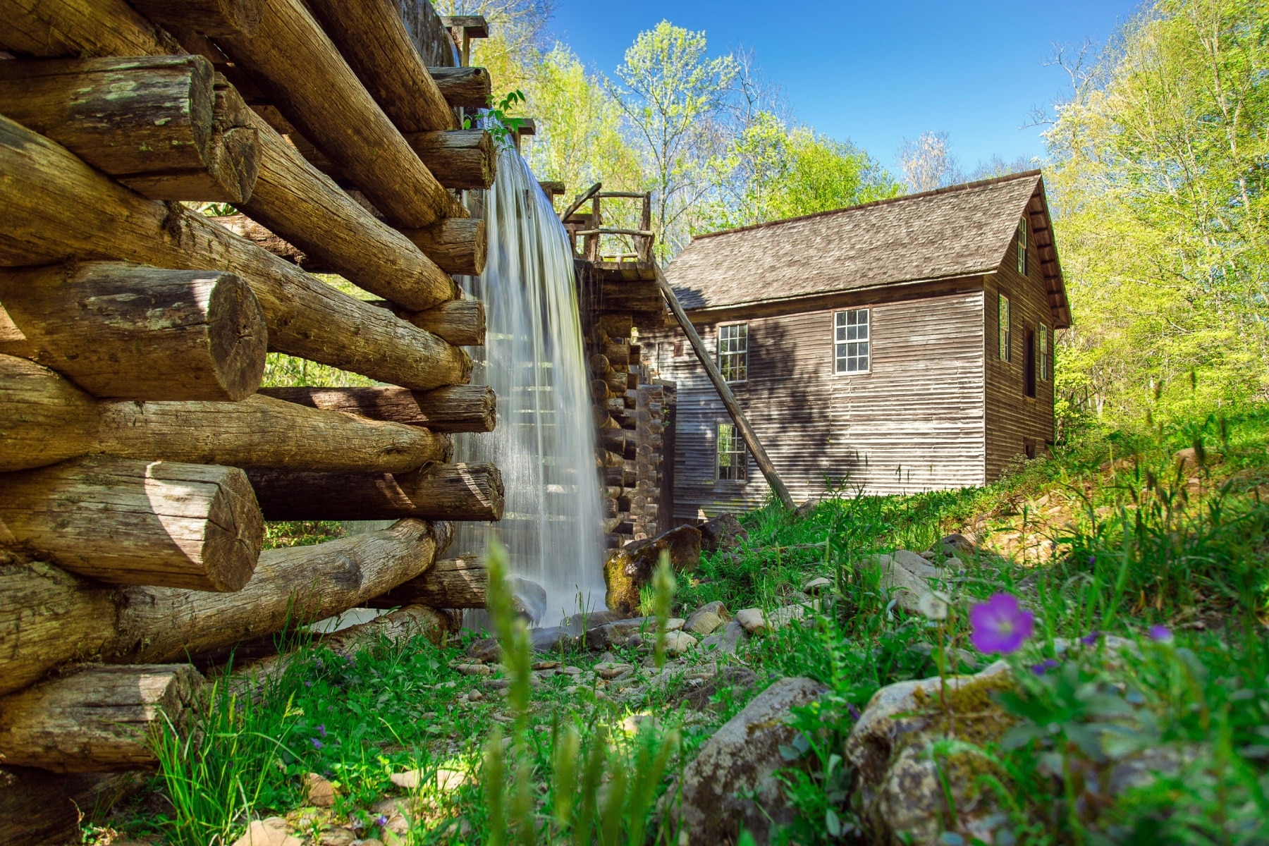 Mingus Mill in spring with green grass and purple wildflowers