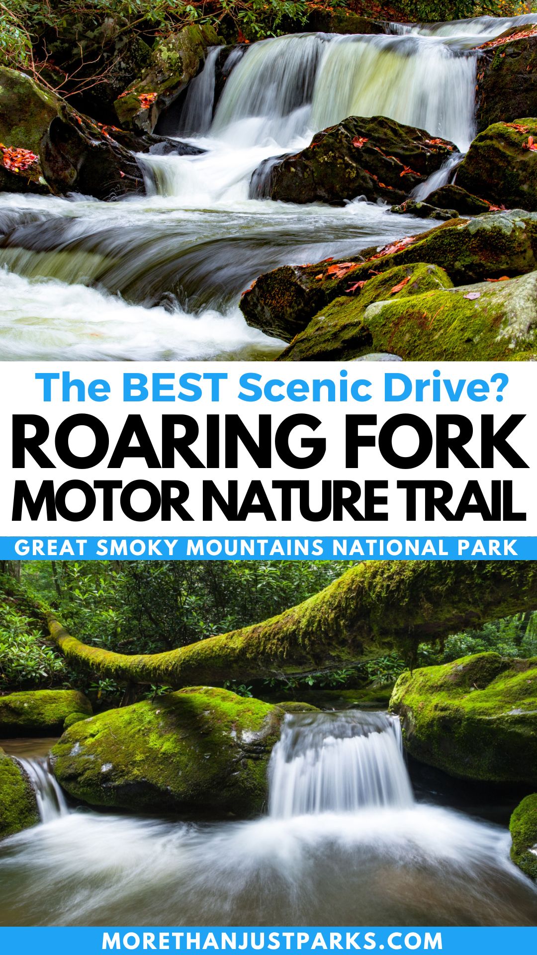 Roaring Fork Motor Nature Trail Graphic