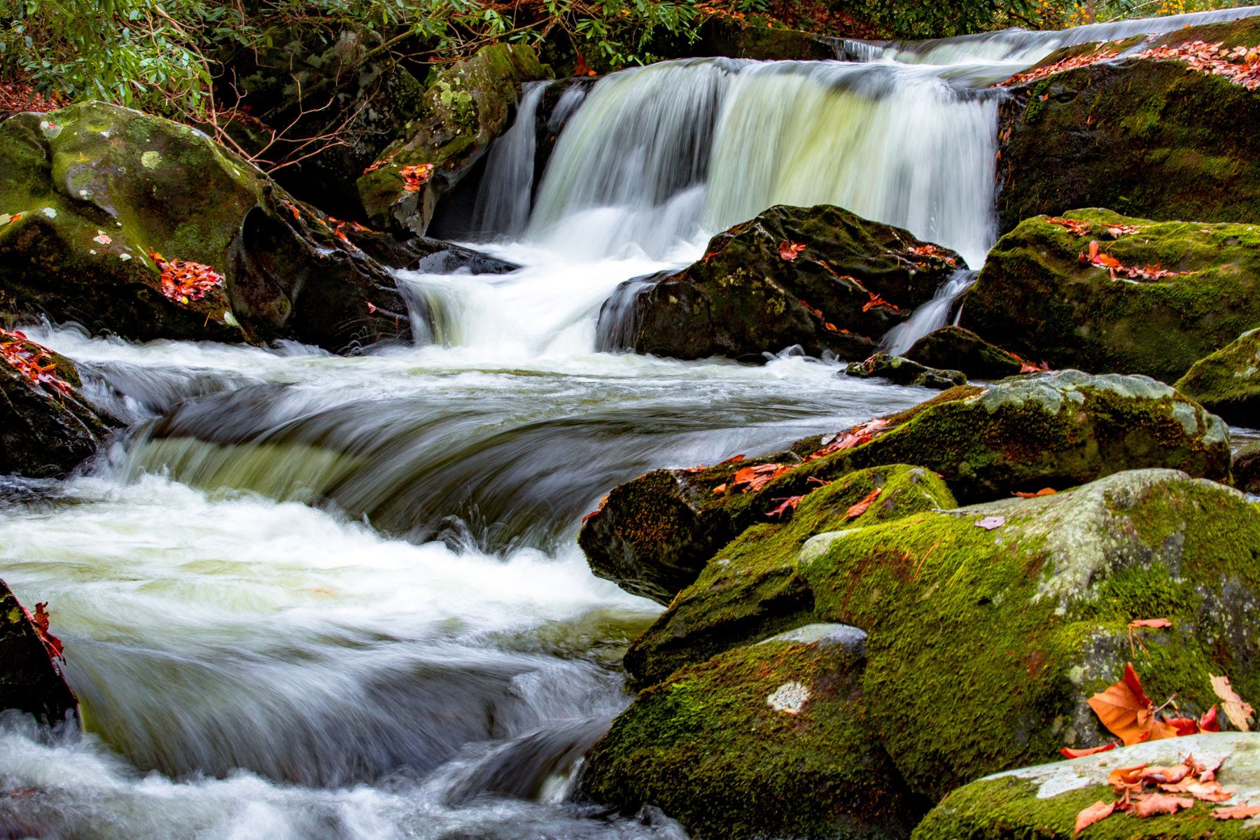 Small waterfall with moss covered rocks and fallen leaves.