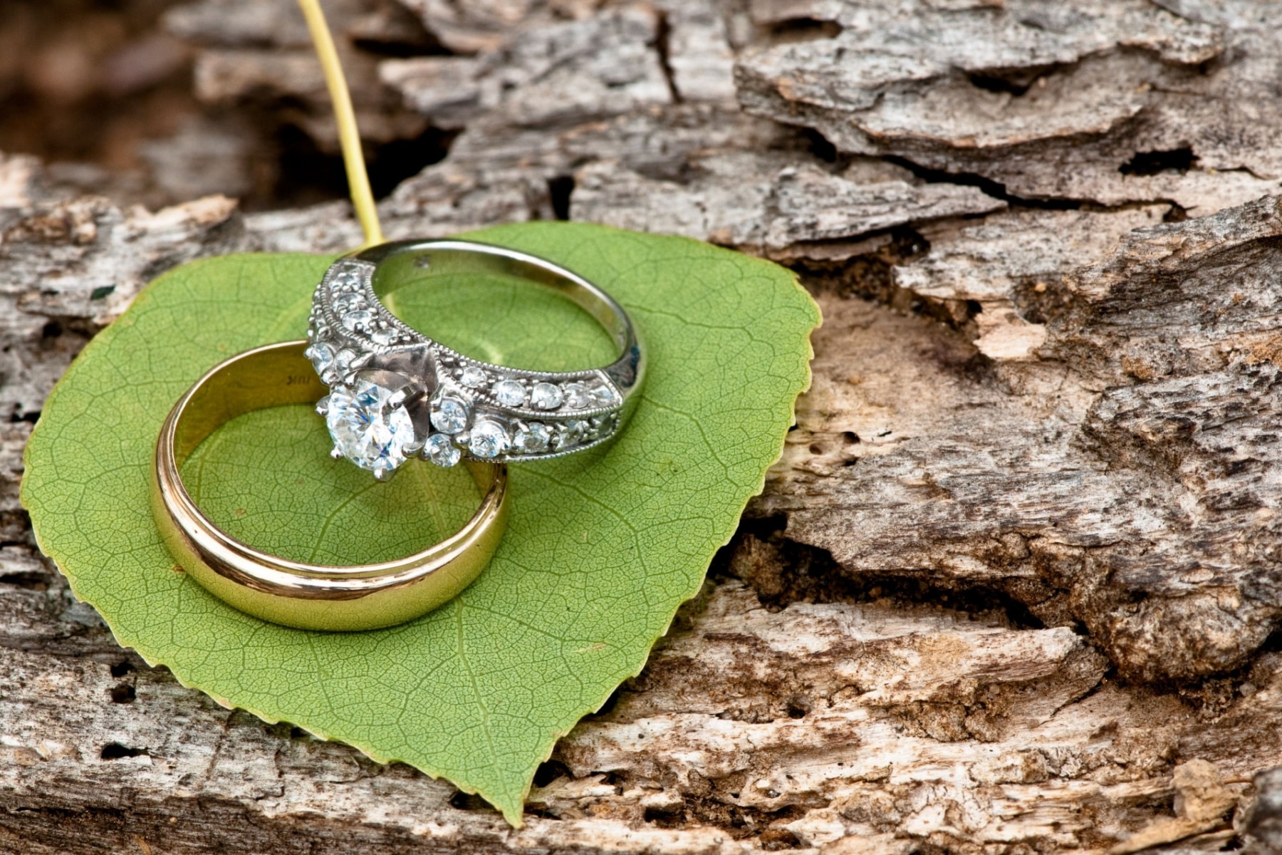Two wedding rings on a leaf surrounded by rocks