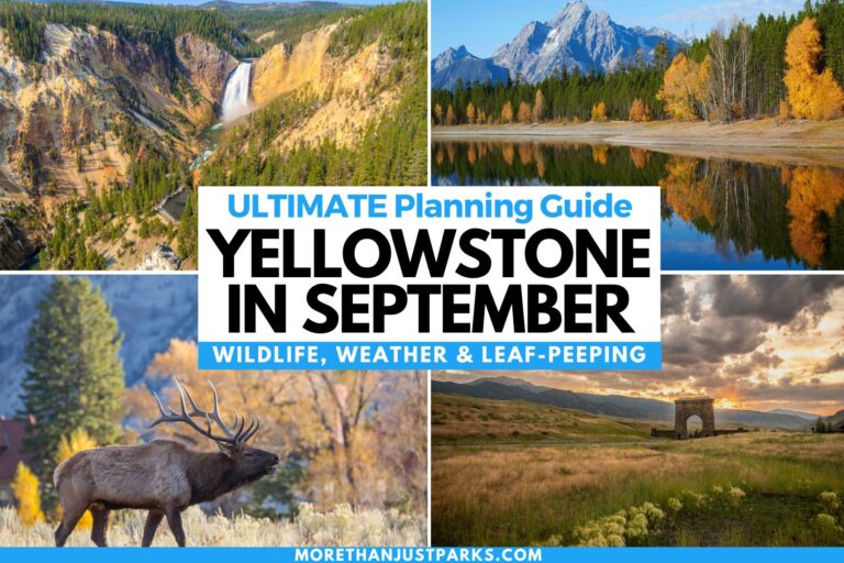 Planning guide for visiting Yellowstone National Park