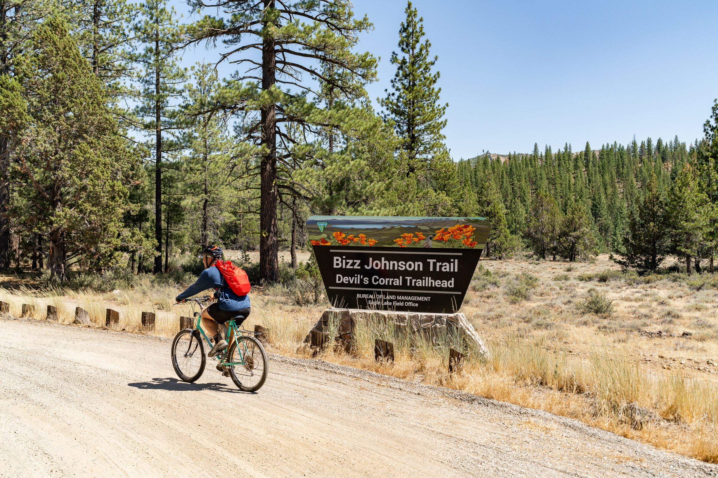 bizz johnson trail shasta cascade california
