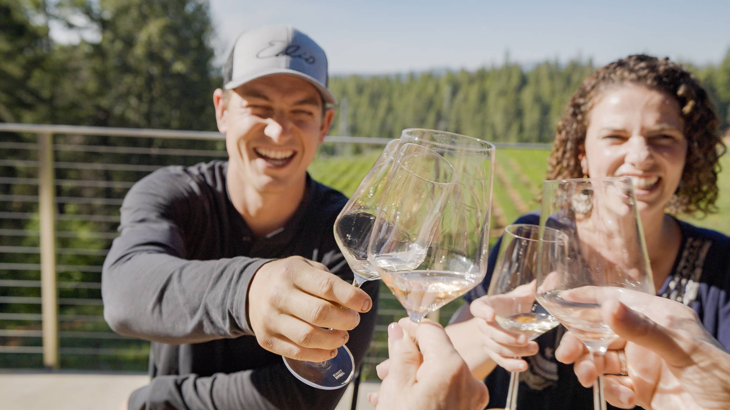 delfino farms gold country california