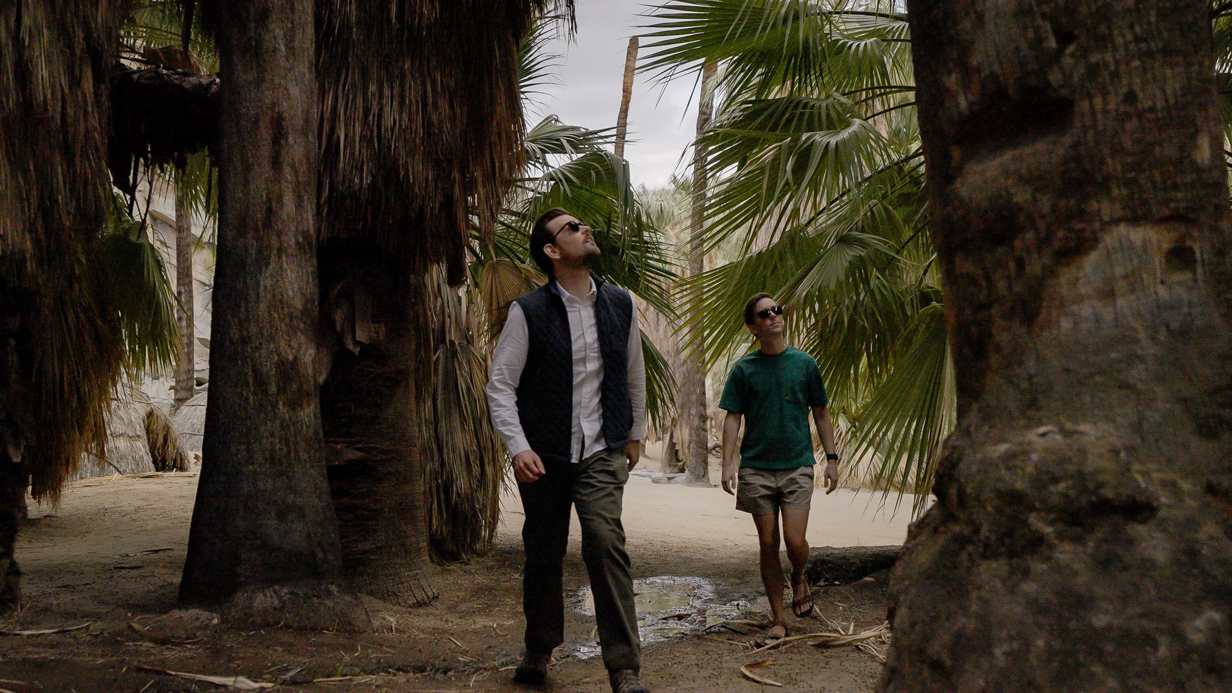 palm canyon deserts california