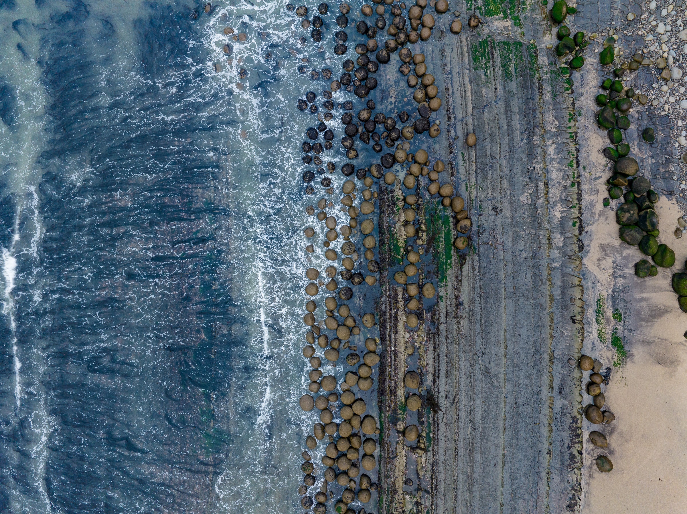 redwoods north coast california