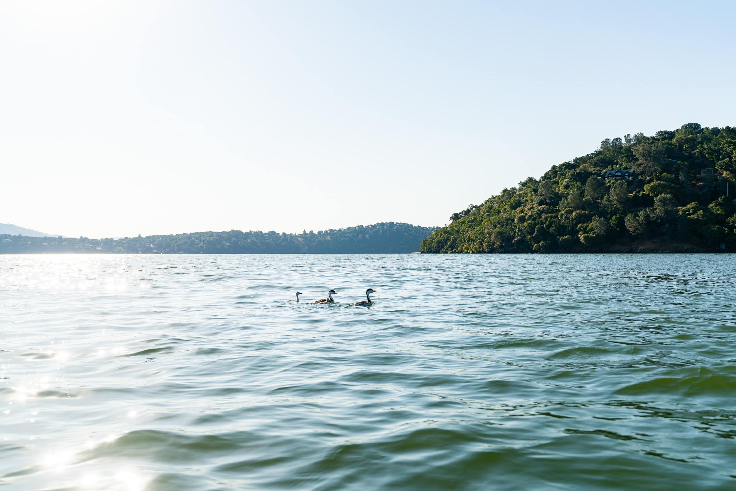 clear lake north coast california