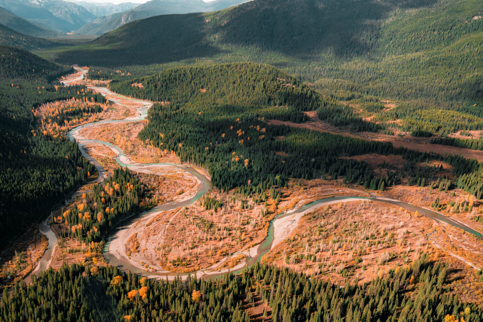 Aerial of the Bob Marshall's larch and cottonwood in gold.