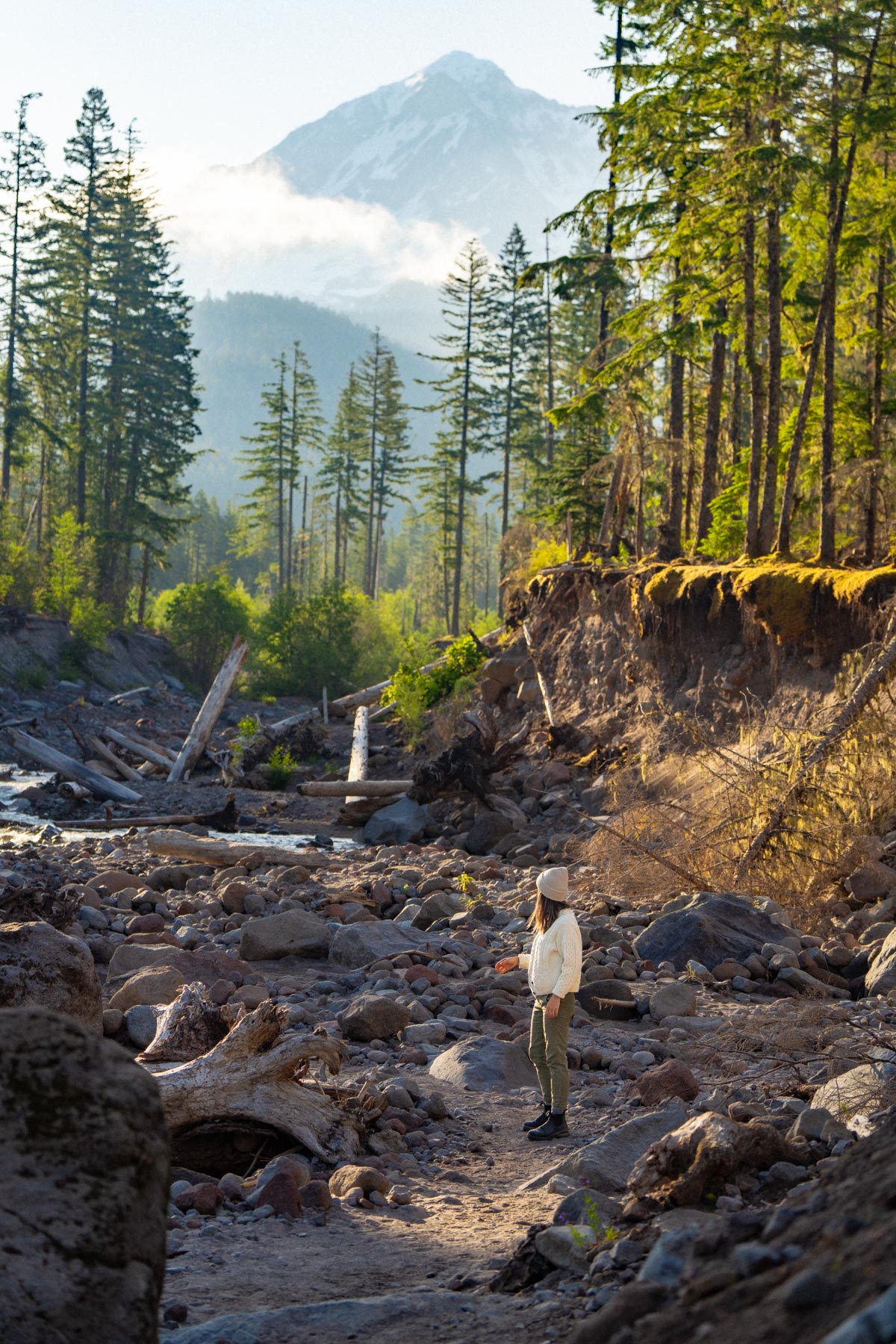 Mt. Hood National Forest