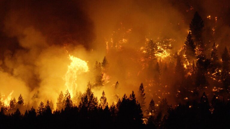 wildfire