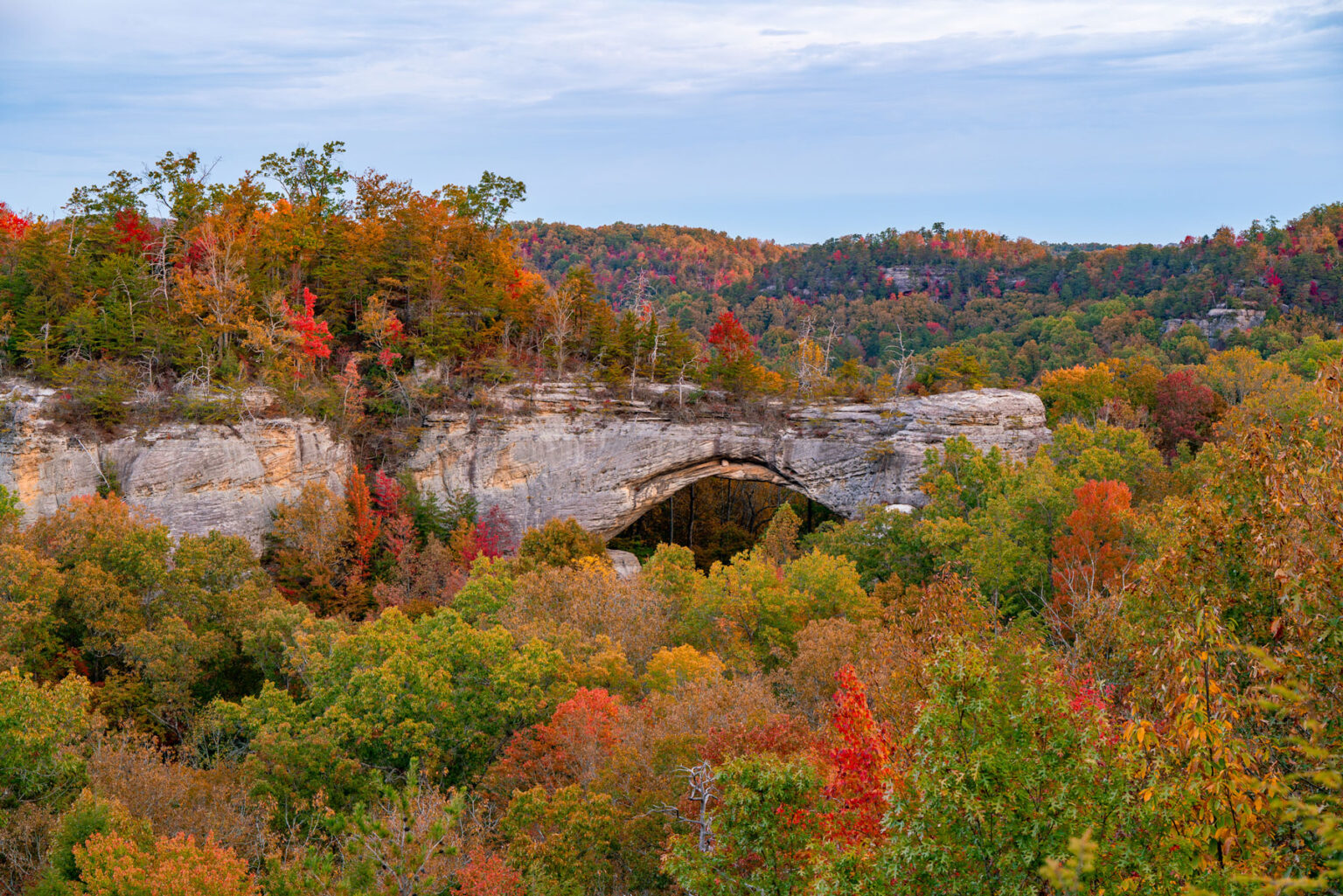 A Daniel Boone arch in full color.