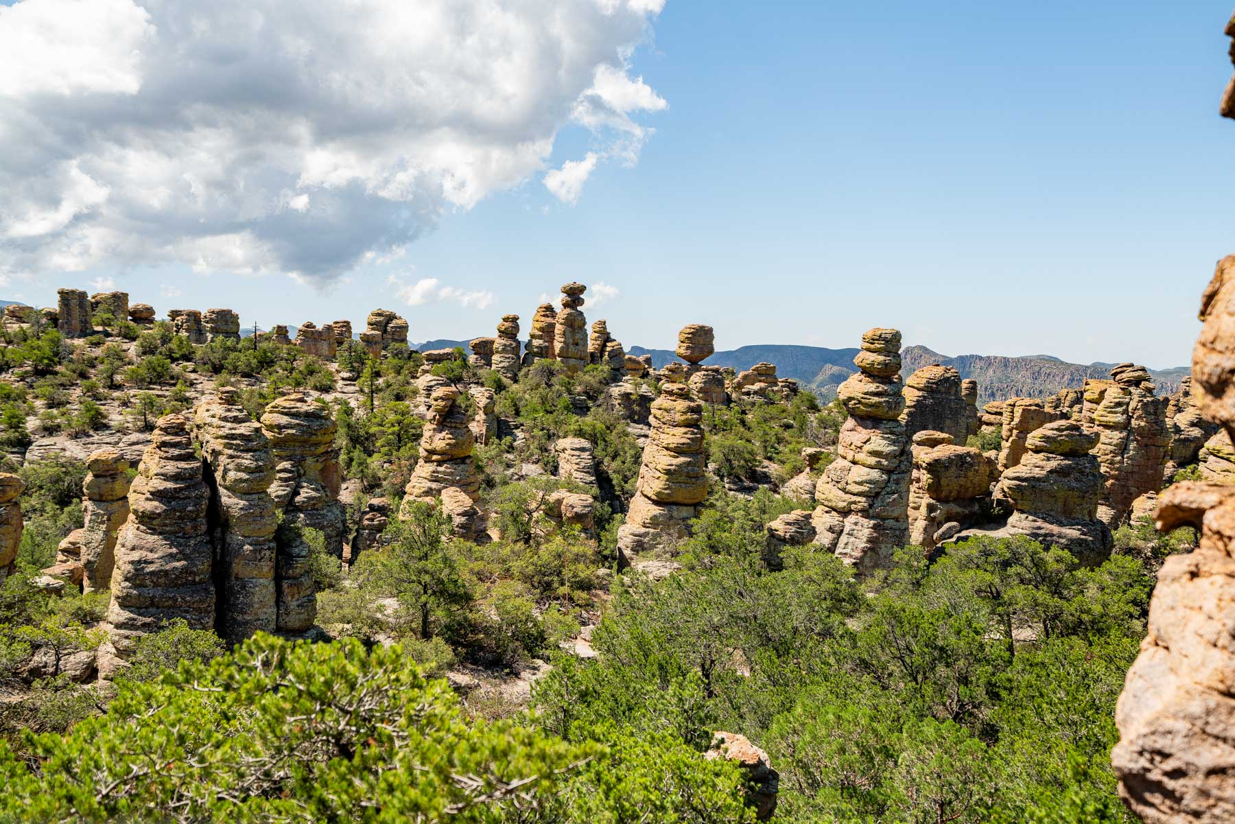 A field of rock pinnacles and green shrubs under summer clouds